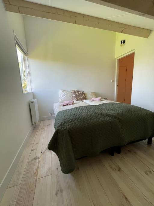Modern Beach House For 12 Pers! With Jacuzzi Julianadorp Dış mekan fotoğraf